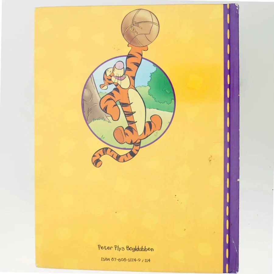 En herlig Æseldag (Bog)