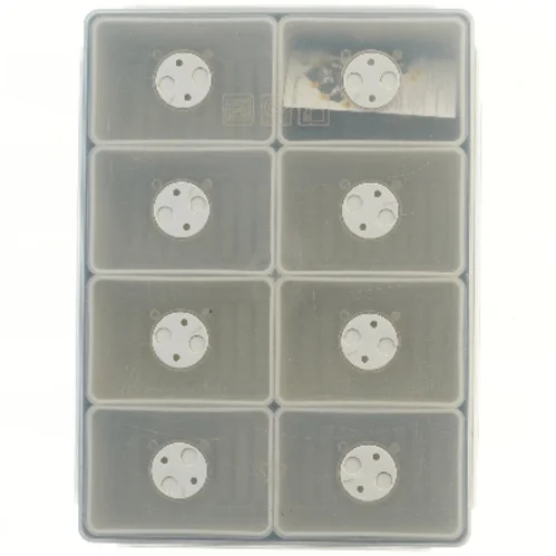 Plantespirer-bakker med låg fra The Salad Bar (str. 36x26x11 cm)