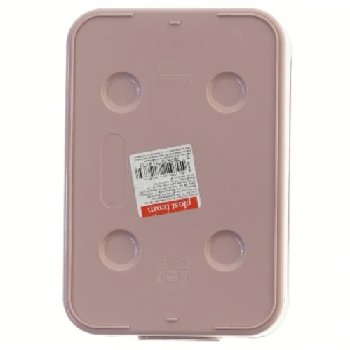 Frokostboks med låg fra Plast Team (str. 20x14 cm)