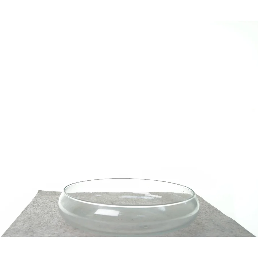 Glasskåle fra Ikea (str. 26 cm)