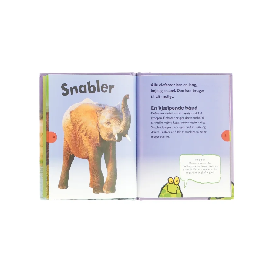Elefanter (bog)