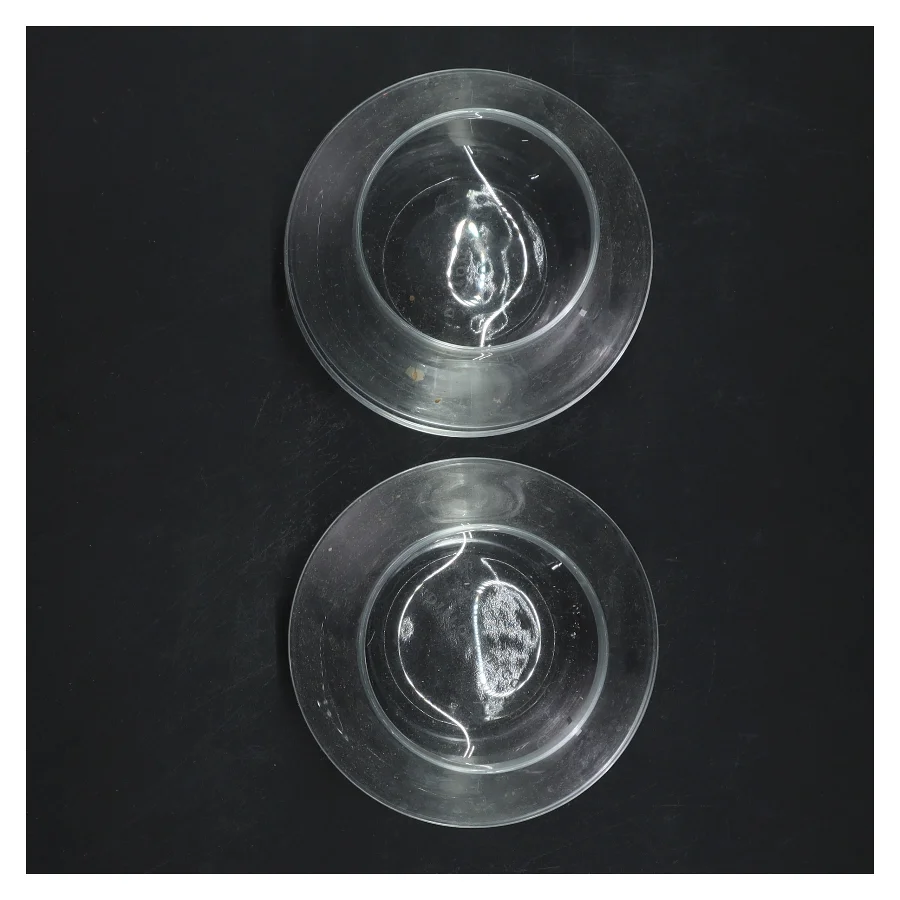 Klare glasvaser sæt fra Diplomatico (str. Ø 10 cm)