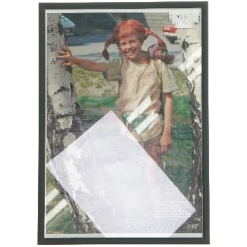 Maleri med ramme (str. 31x22 cm)