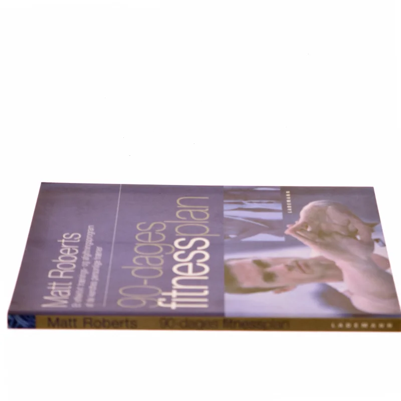 90-dages fitnessplan af Matt Roberts (f. 1973) (Bog)