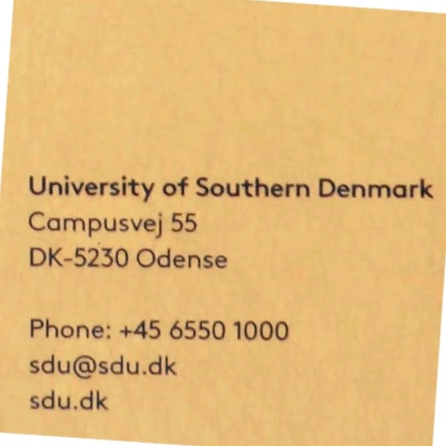 Ph.d.-afhandling fra Syddansk Universitet