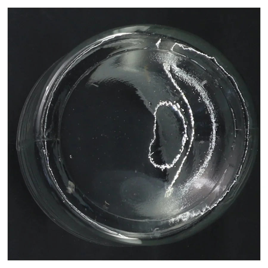 Glasbeholder med låg (str. 13 cm)