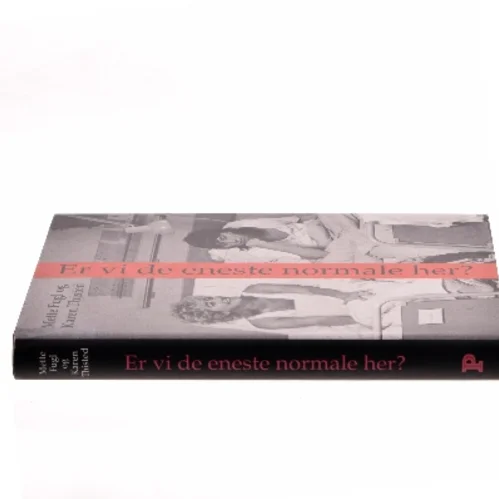 Er vi de eneste normale her? : noter, anekdoter og samtaler om visse erindringer (Bog)