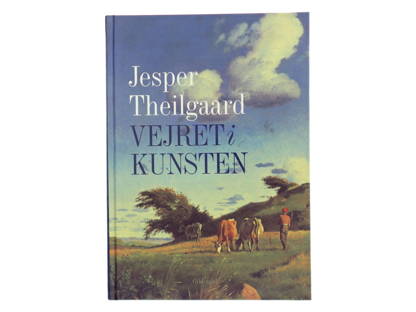 Vejret i kunsten af Jesper Theilgaard (Bog)