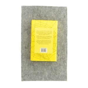 Udnyttet af Danielle Steel (bog)