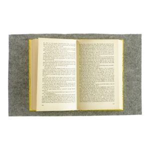 Udnyttet af Danielle Steel (bog)