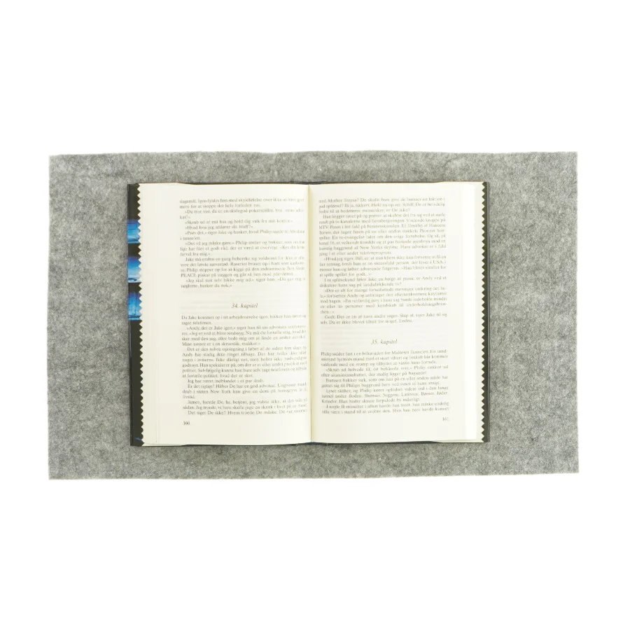 Den ubudne gæst af Peter Blauner (bog)