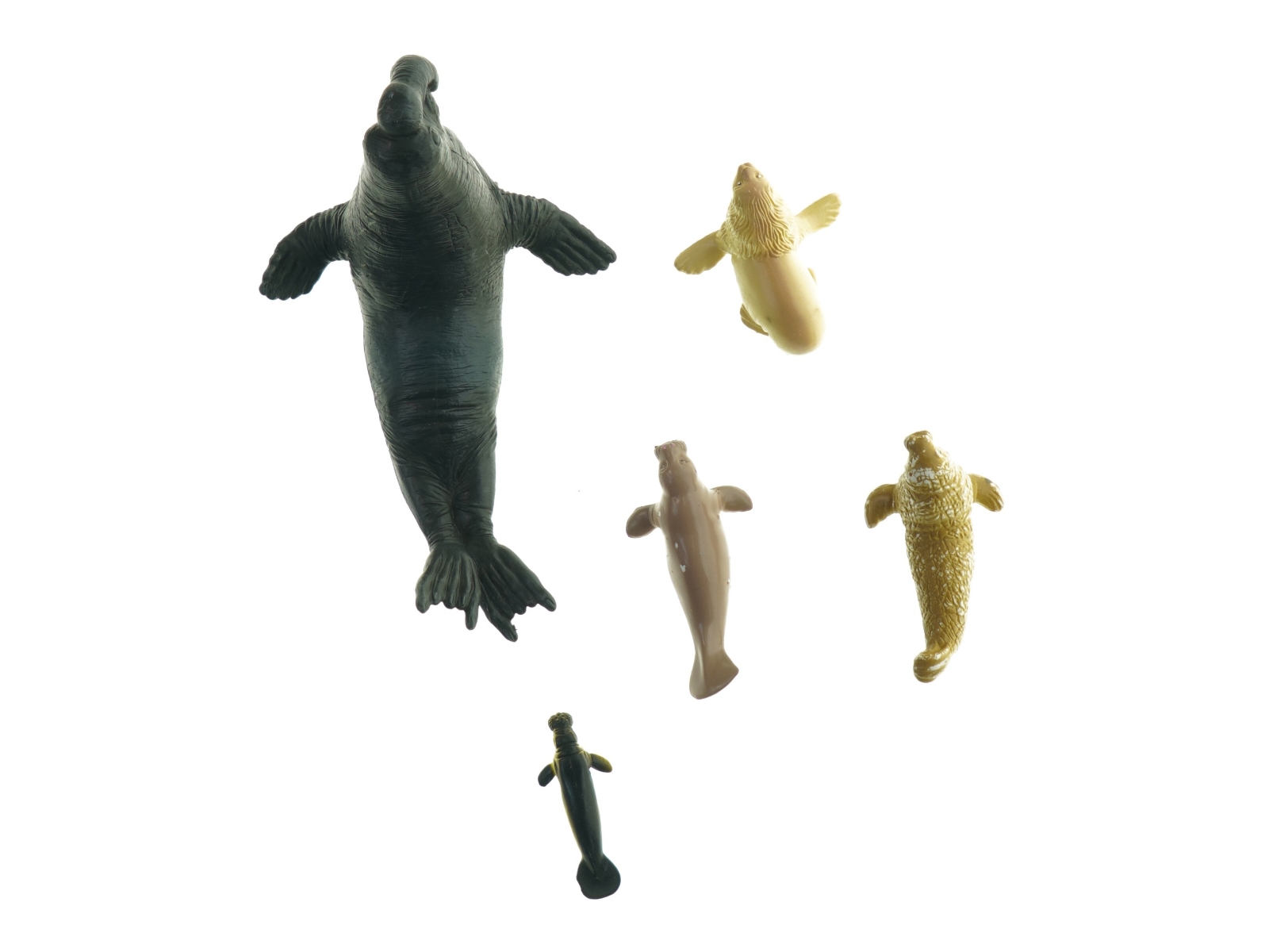 Havdyr i plastik (str. 16 cm 6 cm)