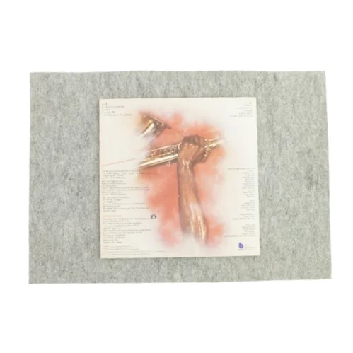 Fever af Ronnie Laws fra LP