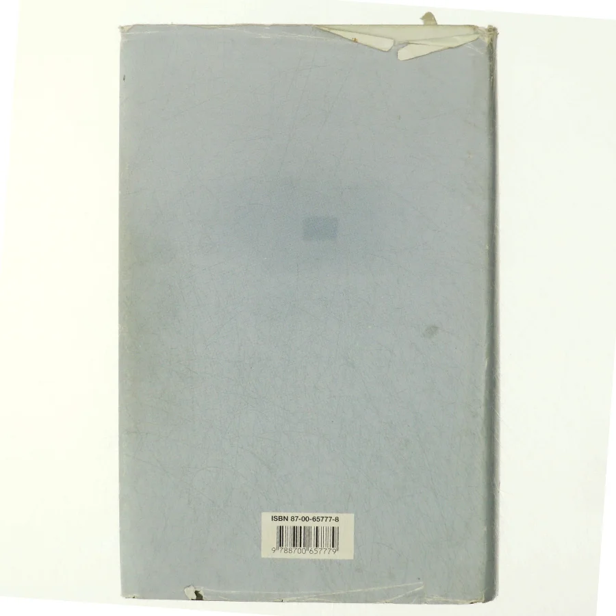 Mit århundrede af Günter Grass (Bog)