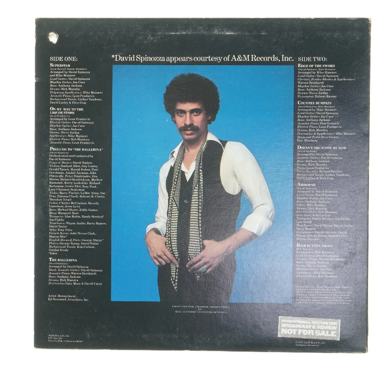 Spinozza LP af David Spinozza fra A&M Records