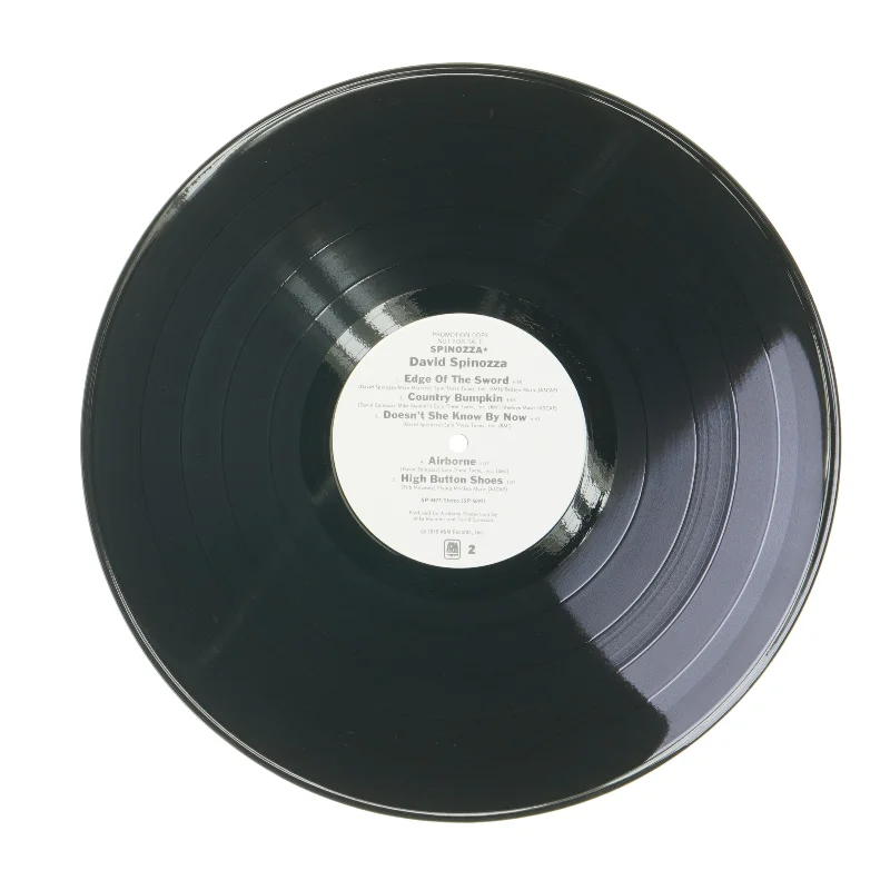Spinozza LP af David Spinozza fra A&M Records
