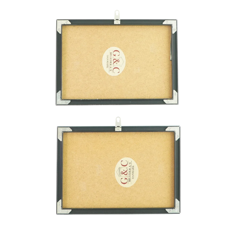 2 billeder i et trærammer (str. LB: 30 x 21,5 cm)