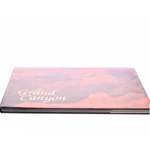 The Grand Canyon af Letitia Burns O'Connor (Bog)