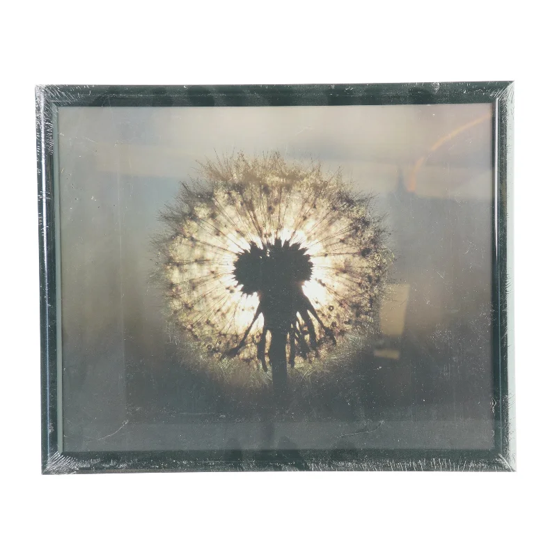 Billedramme med billede fra(str. LBH:33,5x27,5x2cm)