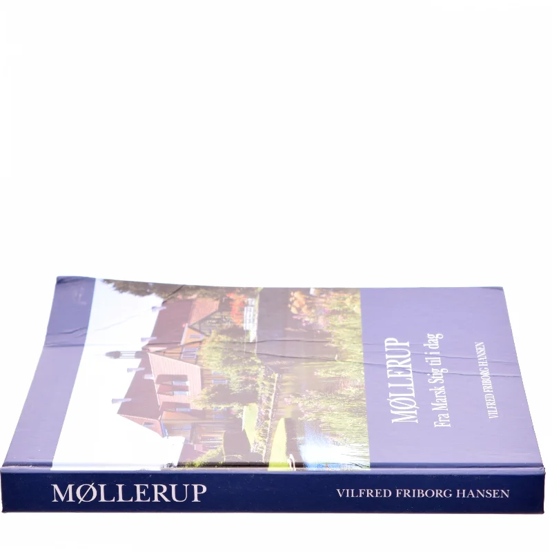 Møllerup fra marsk stig til i dag af Vilfred Friborg Hansen