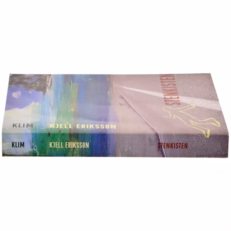 Stenkisten : kriminalroman af Kjell Eriksson (Bog)