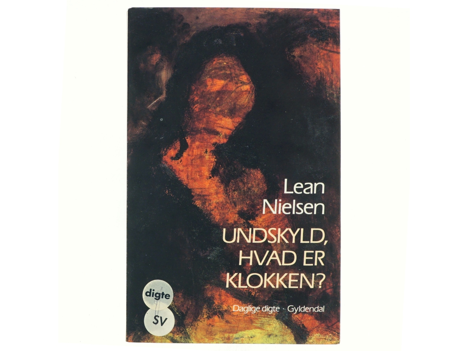 Undskyld, hvad er klokken? Daglige digte af Lean Nielsen (Bog)