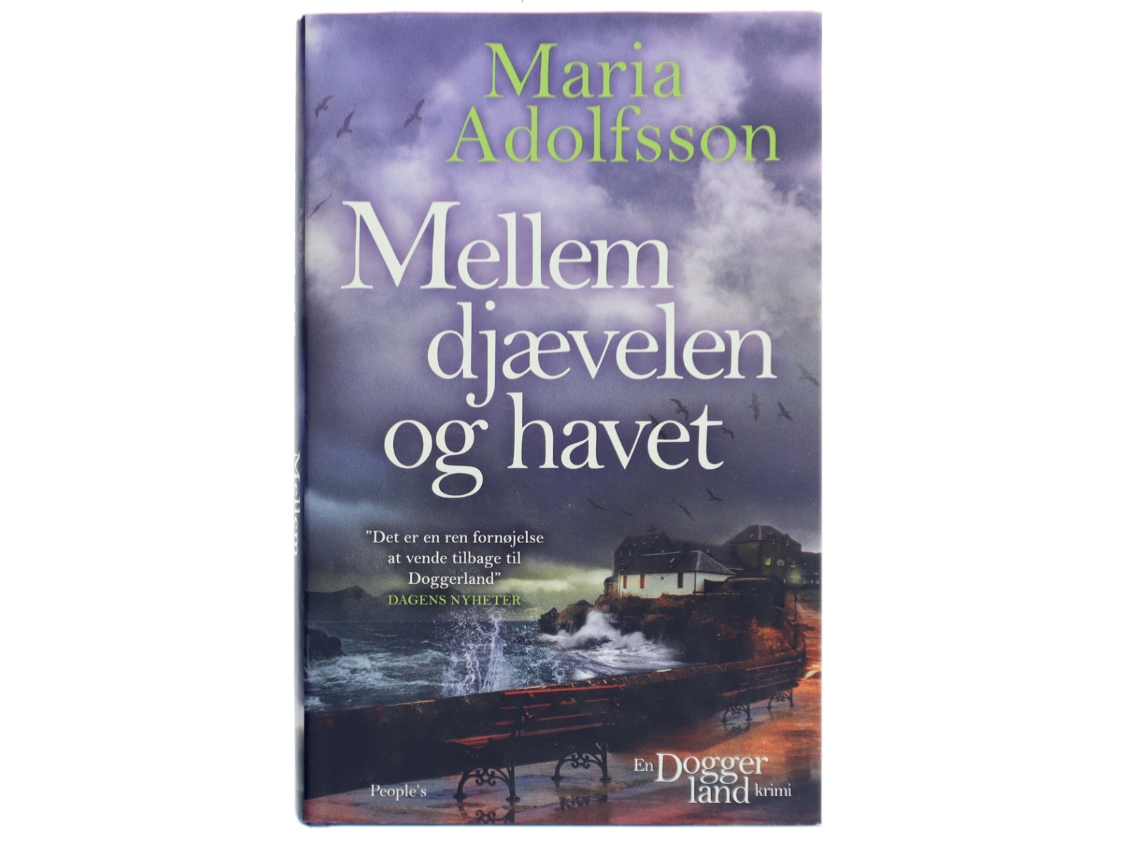 Mellem djævelen og havet af Maria Adolfsson (Bog)