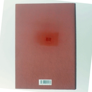 'Den du ikke ser' af Mari Jungstedt (bog)