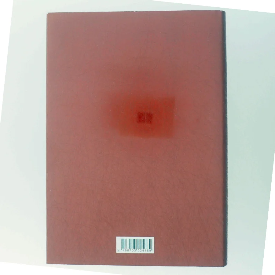 'Den du ikke ser' af Mari Jungstedt (bog)