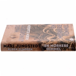 En mørkere himmel : kriminalroman af Mari Jungstedt (Bog)