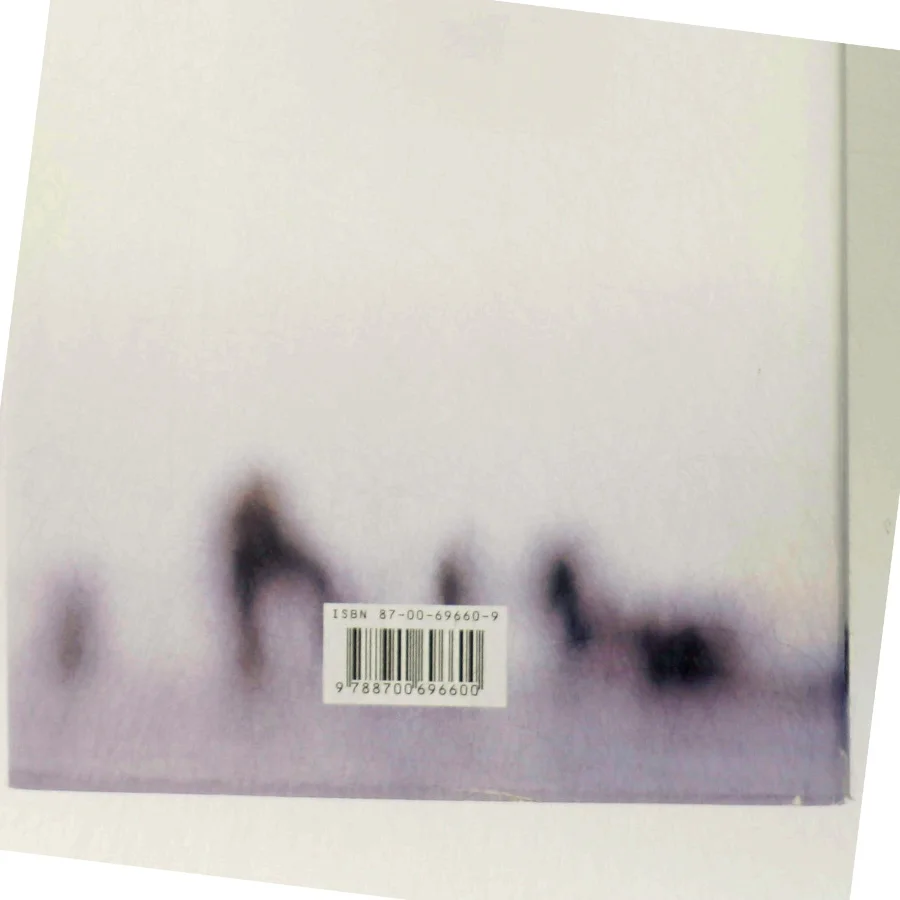 Kronprinsessen : roman af Hanne-Vibeke Holst (Bog)