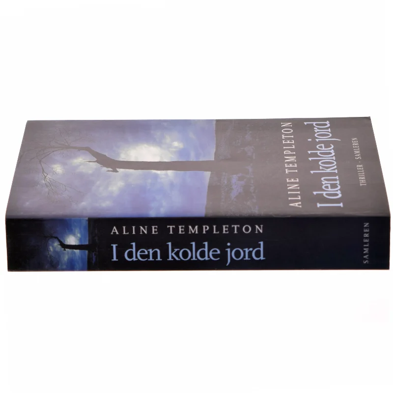 I den kolde jord : thriller af Aline Templeton (Bog)