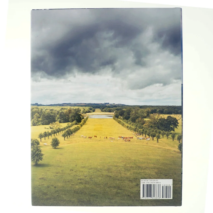 Capability Brown af John Phibbs (Bog)