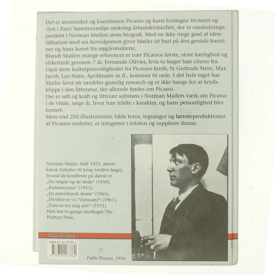 Portræt af den unge Picasso : en biografi af Norman Mailer (Bog)