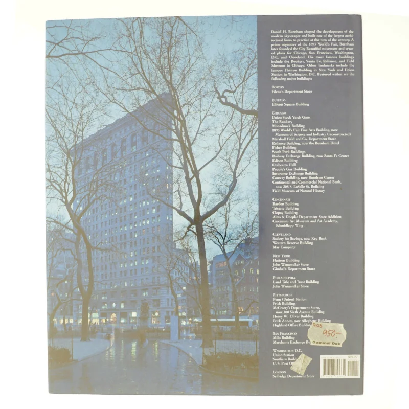 Daniel H. Burnham af Kristen Schaffer (Bog)