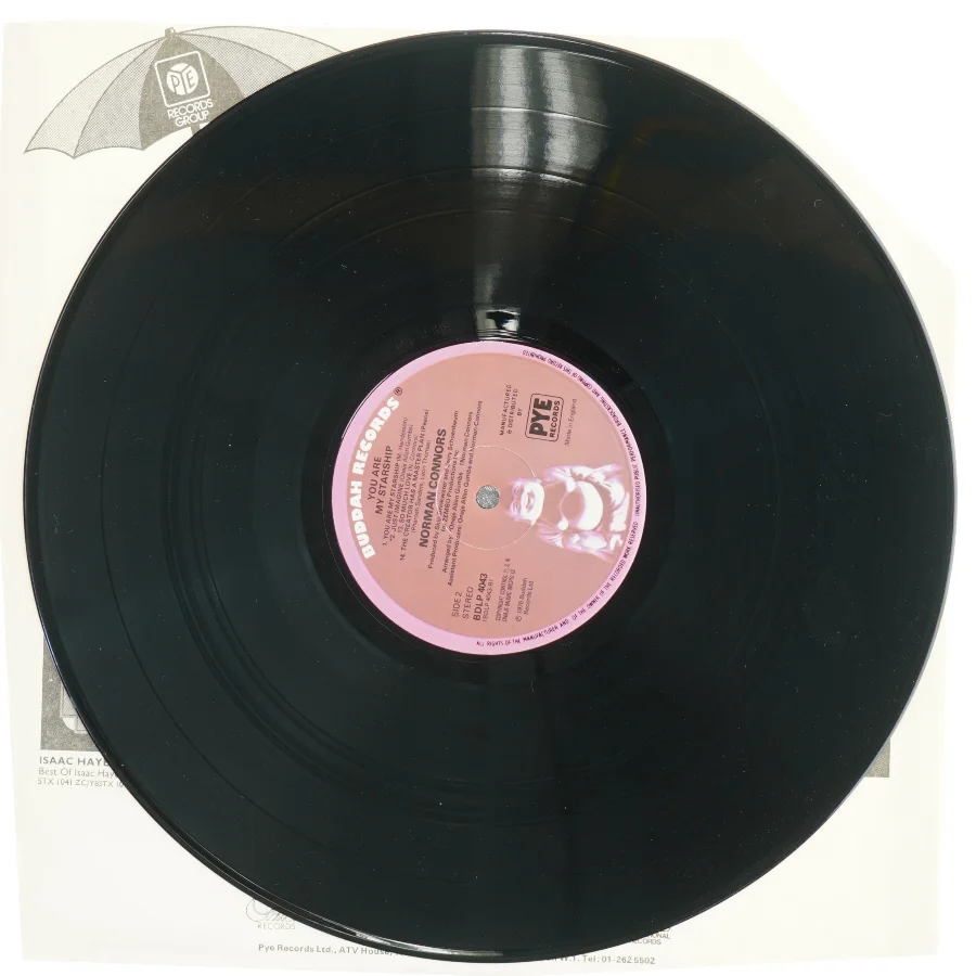 Norman Connors LP: You Are My Starship fra Buddah Records