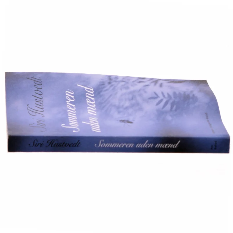 Sommeren uden mænd : roman af Siri Hustvedt (Bog)