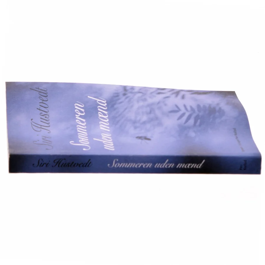 Sommeren uden mænd : roman af Siri Hustvedt (Bog)