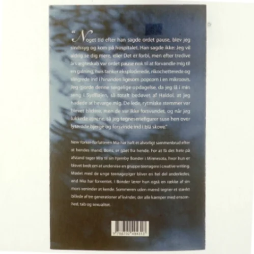 Sommeren uden mænd : roman af Siri Hustvedt (Bog)