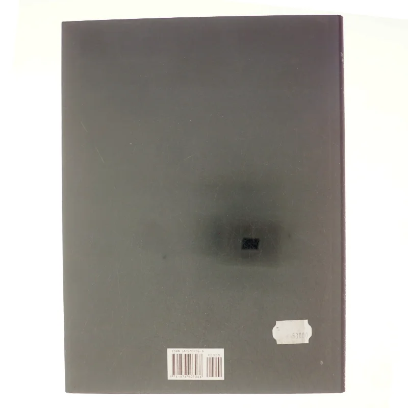 Botti Rubin Arquitetos af Steve Womersley (Bog)