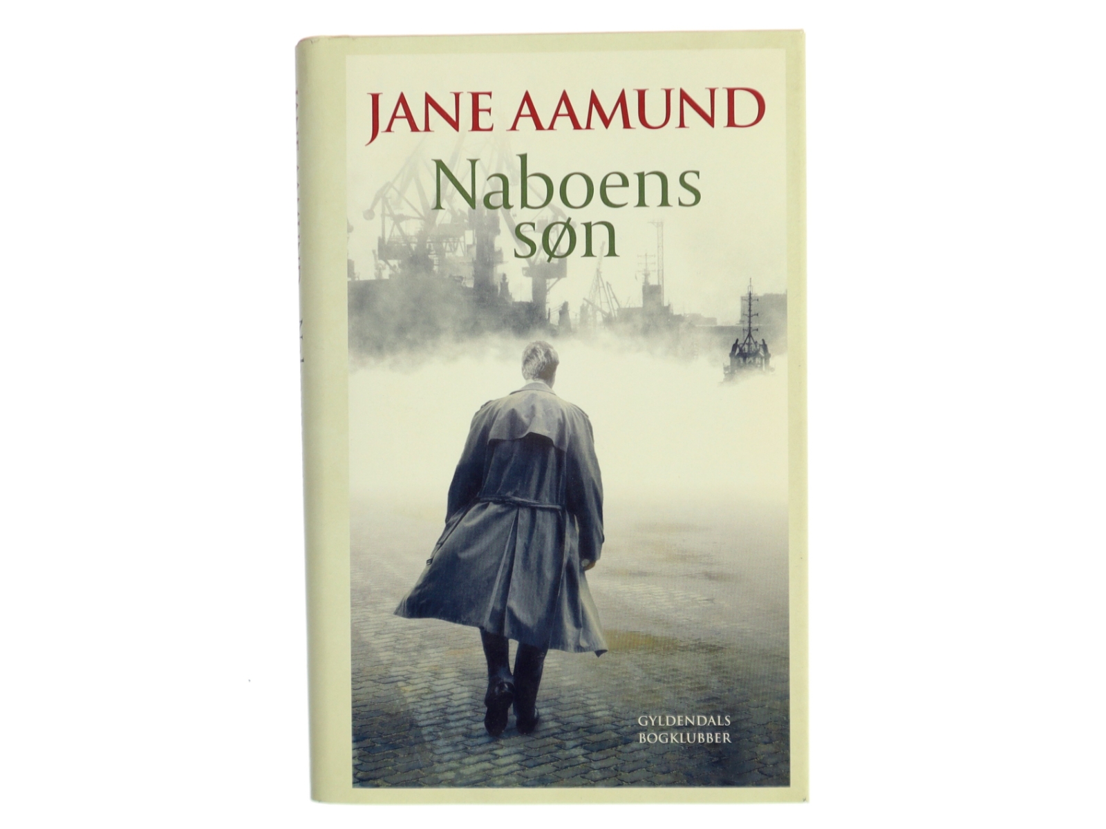 Naboens søn : roman af Jane Aamund (Bog)