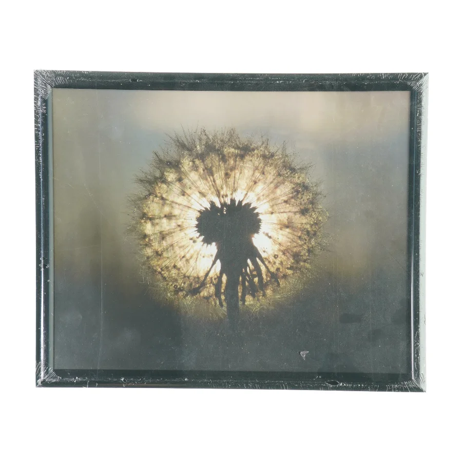 Billedramme med billede  (str. LBH:33,5x27,5x2cm)