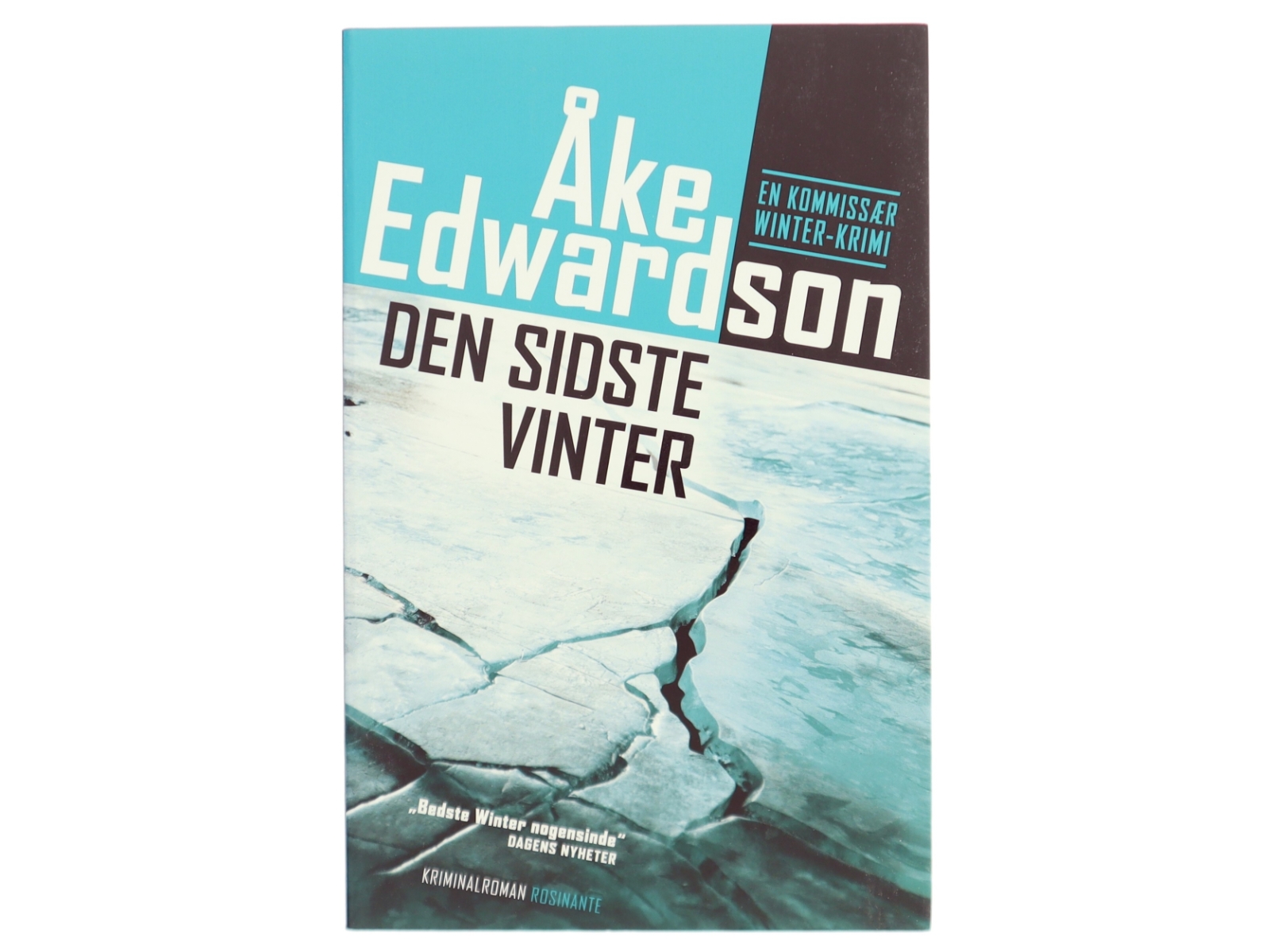 Den sidste vinter : kriminalroman af Åke Edwardson (Bog)