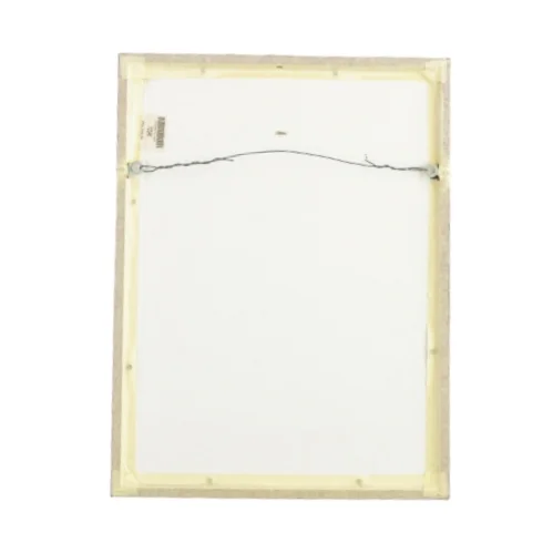 Billedet i ramme (str. LB 42,5x32 cm)