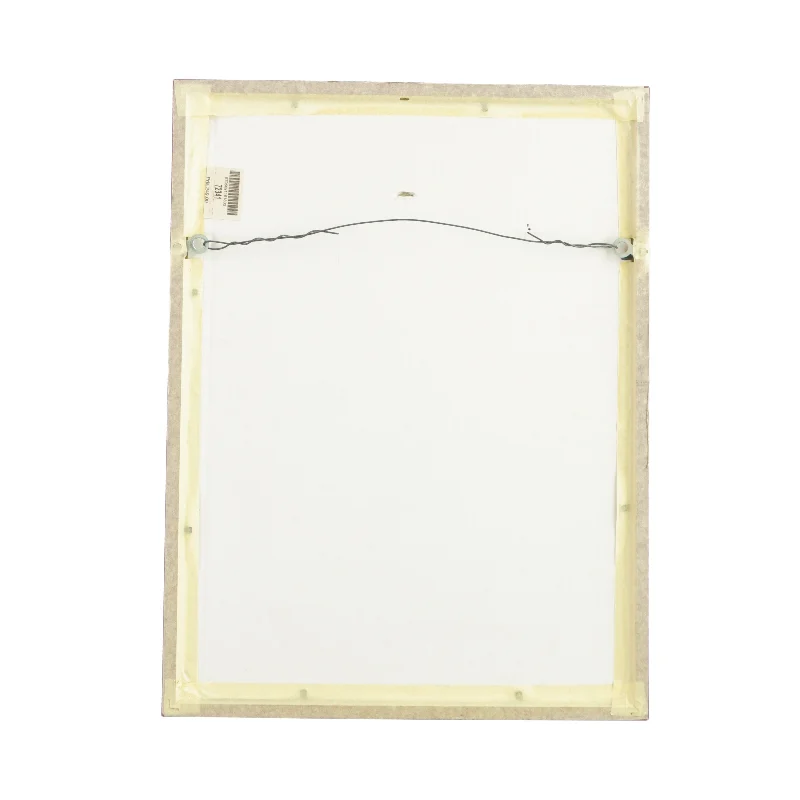 Billedet i ramme (str. LB 42,5x32 cm)