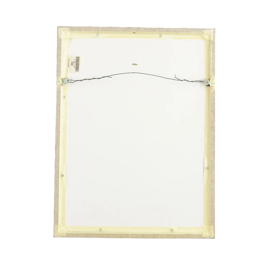 Billedet i ramme (str. LB 42,5x32 cm)