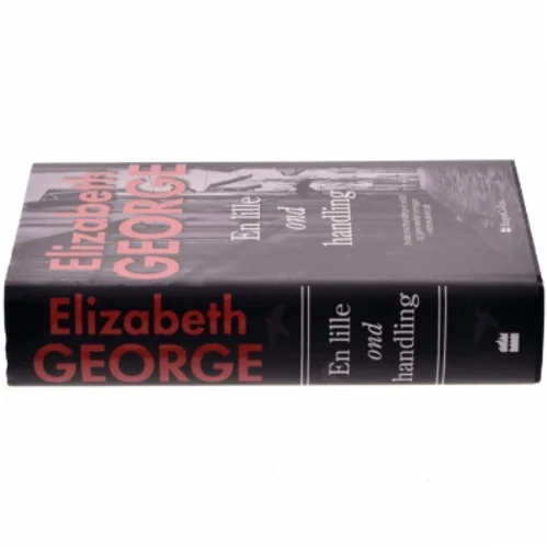 En lille ond handling af Elizabeth George (Bog)