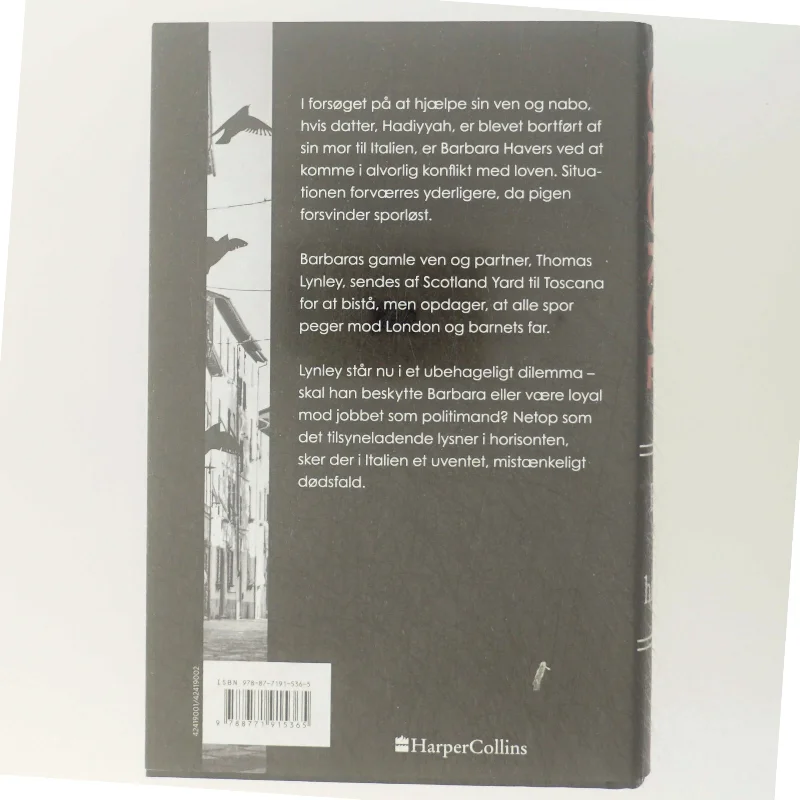 En lille ond handling af Elizabeth George (Bog)