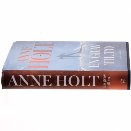 En grav til to : Selma Falcks første sag : kriminalroman af Anne Holt (f. 1958-11-16) (Bog)