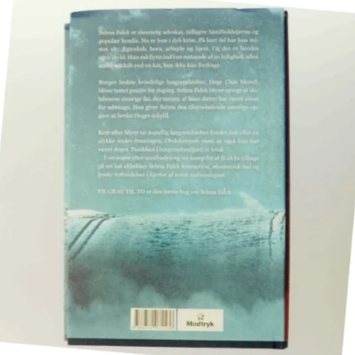 En grav til to : Selma Falcks første sag : kriminalroman af Anne Holt (f. 1958-11-16) (Bog)